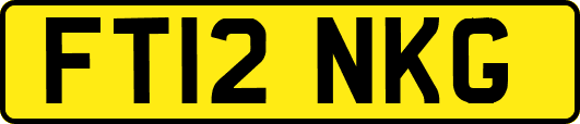 FT12NKG