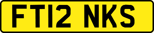 FT12NKS