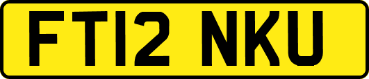 FT12NKU