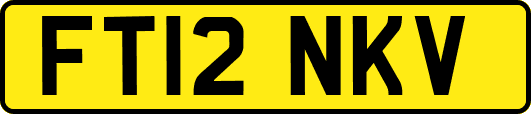 FT12NKV