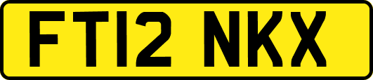 FT12NKX