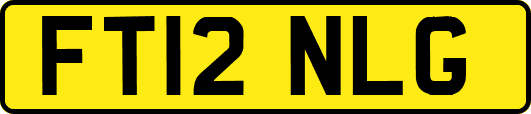 FT12NLG