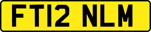 FT12NLM