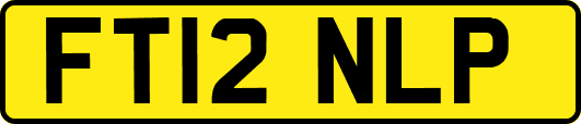 FT12NLP
