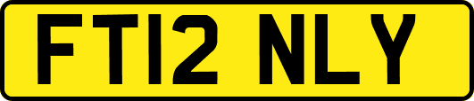 FT12NLY
