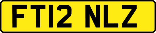 FT12NLZ