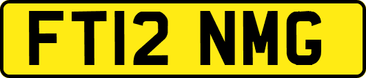 FT12NMG