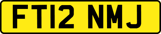 FT12NMJ