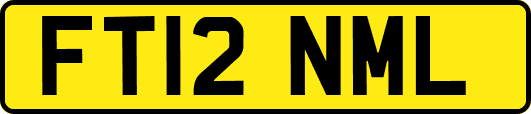 FT12NML