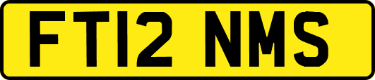 FT12NMS