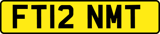 FT12NMT