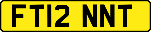 FT12NNT