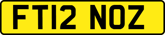 FT12NOZ
