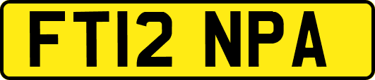 FT12NPA