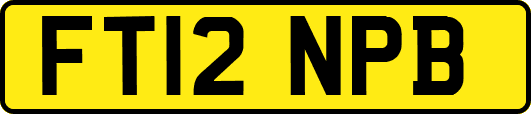 FT12NPB