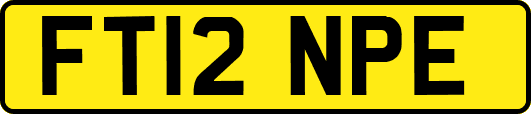FT12NPE