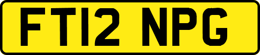 FT12NPG