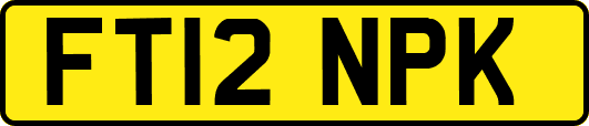 FT12NPK