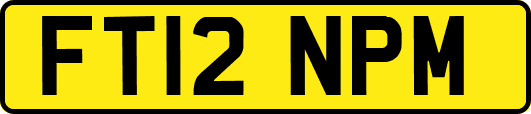 FT12NPM
