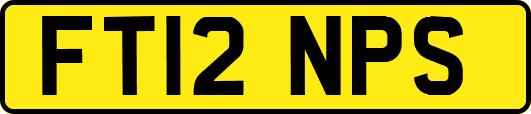 FT12NPS