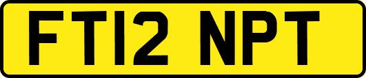 FT12NPT