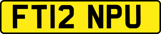FT12NPU