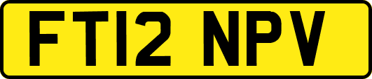 FT12NPV