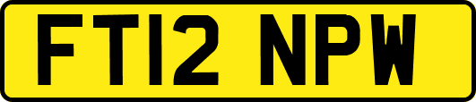 FT12NPW