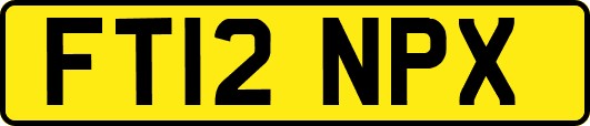 FT12NPX