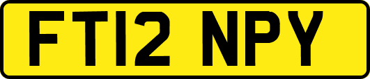FT12NPY