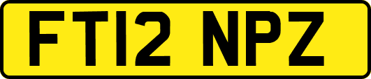 FT12NPZ