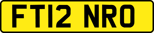 FT12NRO