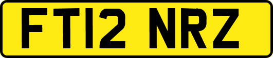 FT12NRZ