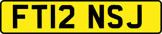 FT12NSJ
