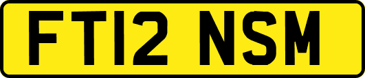 FT12NSM