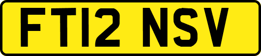 FT12NSV