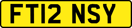 FT12NSY