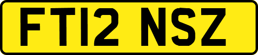 FT12NSZ