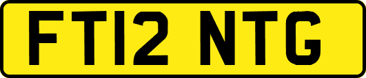 FT12NTG