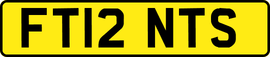 FT12NTS