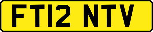 FT12NTV