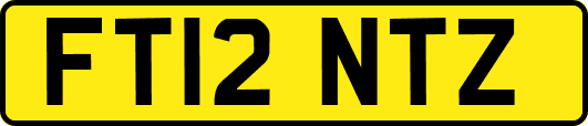 FT12NTZ