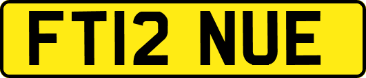 FT12NUE