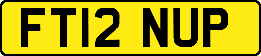 FT12NUP