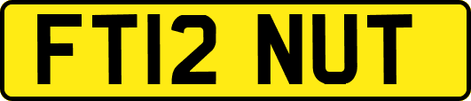FT12NUT