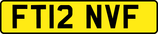 FT12NVF