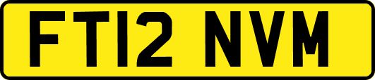 FT12NVM