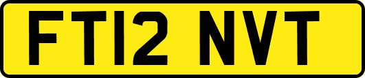 FT12NVT