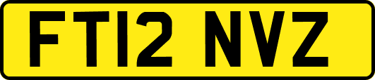 FT12NVZ
