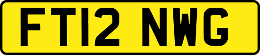 FT12NWG